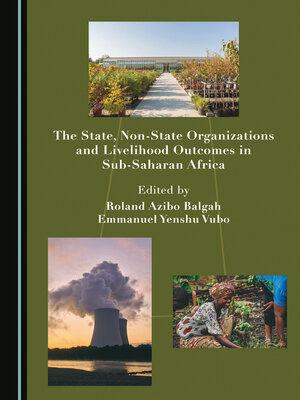 cover image of The State, Non-State Organizations and Livelihood Outcomes in Sub-Saharan Africa